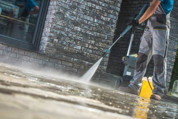 Best Animal Enclosure Cleaning  in New London, WI