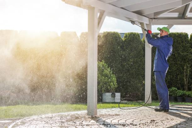 Animal Enclosure Cleaning in New London, WI