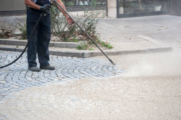 Best Sidewalk and Walkway Cleaning  in New London, WI